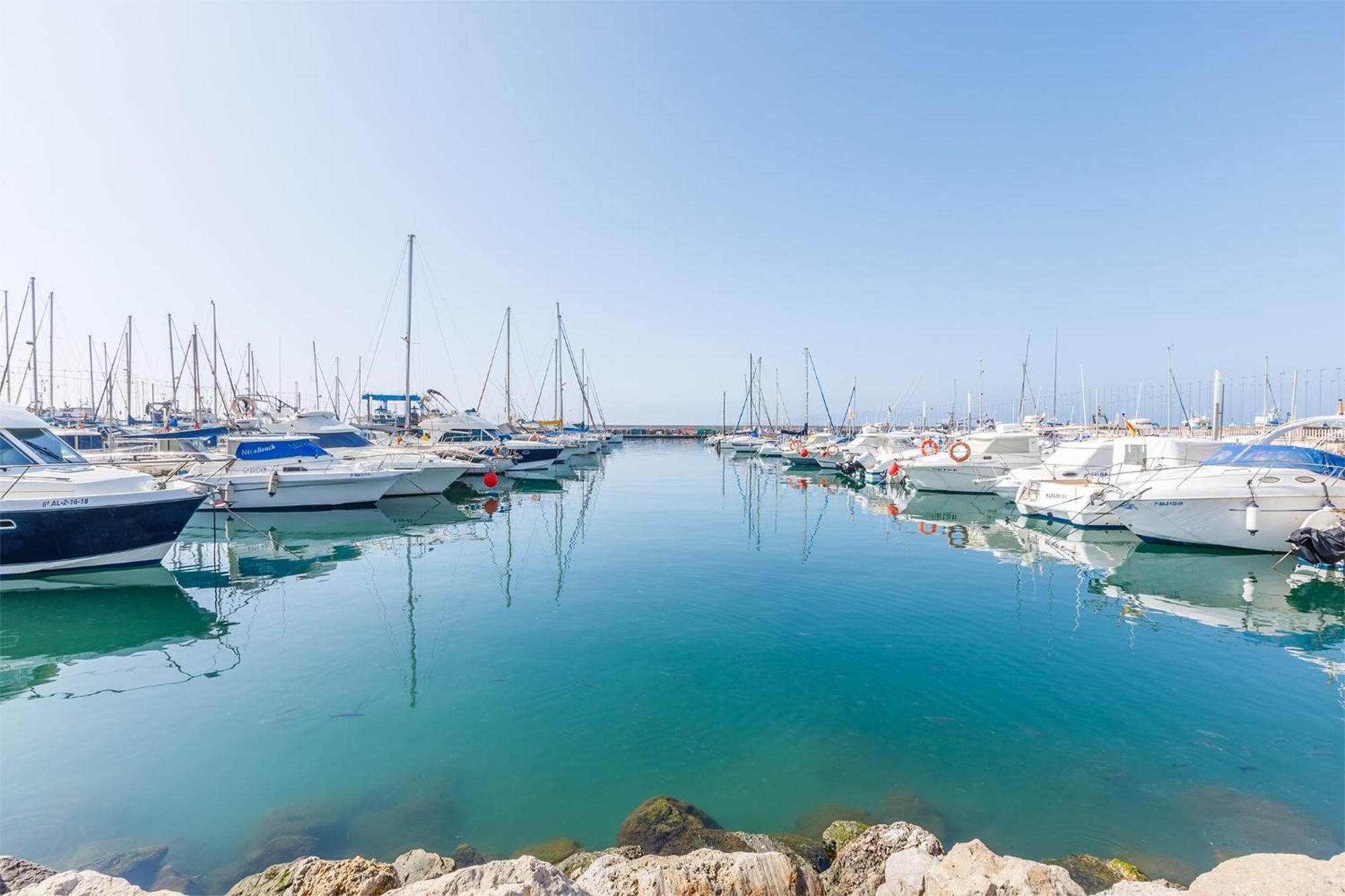 A&N Seaport Caleta Lägenhet Caleta De Velez Exteriör bild